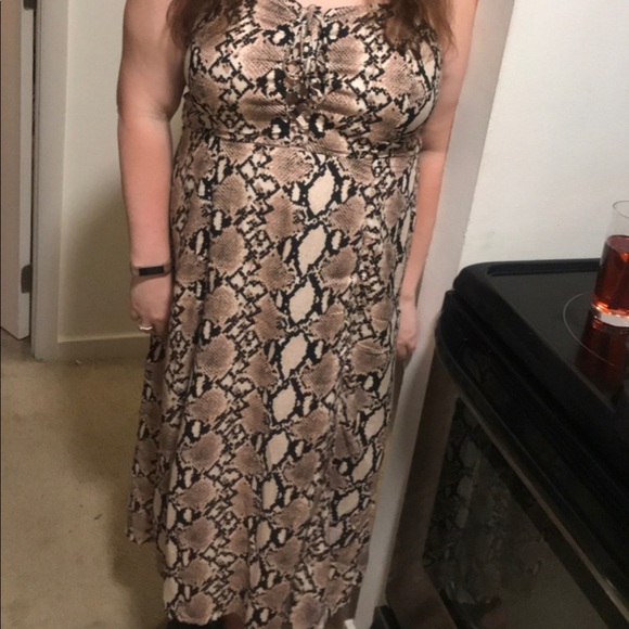 Express Midi Dress - Picture 2 of 8